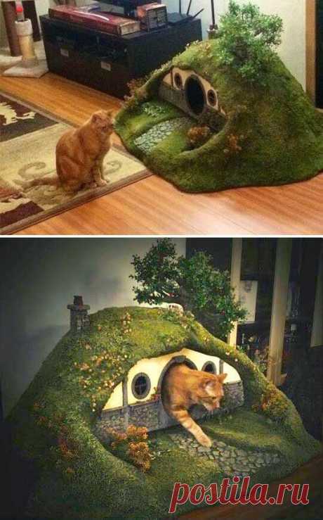 cat hobbit house #cat #cathouse