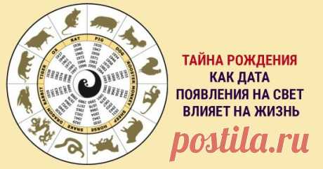 Тайна рождения: разгадка кроется в цифрах, узнайте свою судьбу, написанную звездами