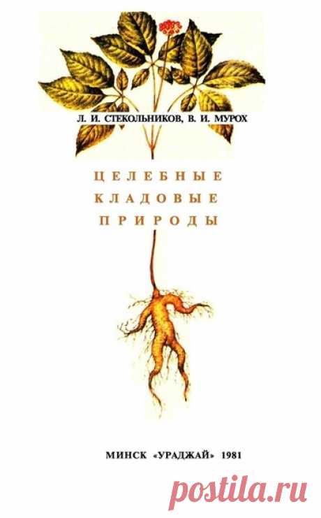 "Целебные кладовые природы" Л.И. Стеколников В.И Мурох

ОНИ ПОМОГАЮТ ЛЕЧИТЬ ДИАБЕТ

О сахарном диабете врачи Китая, Египта, Греции и Рима знали еще несколько тысячелетий назад, но только в конце прошлого века было установлено, что основную роль в возникновении этого тяжелого заболевания играют расстройства функции поджелудочной железы, вырабатывающей особое белковое вещество, называемое инсулином. Цель лечения диабета сводится к тому, чтобы привести к норме нарушенный обме...