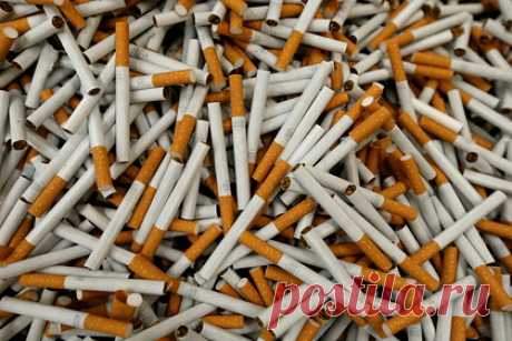 Крупнейшая табачная компания выступила за запрет сигарет. Руководство крупнейшей табачной компании Philip Morris International выступило за запрет продажи сигарет на территории Великобритании. Согласно заявлению представителей корпорации, с сигаретами следует обращаться как с бензиновыми автомобилями и отказаться от них в ближайшие десять лет.