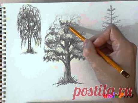 Как нарисовать листву деревьев - YouTube