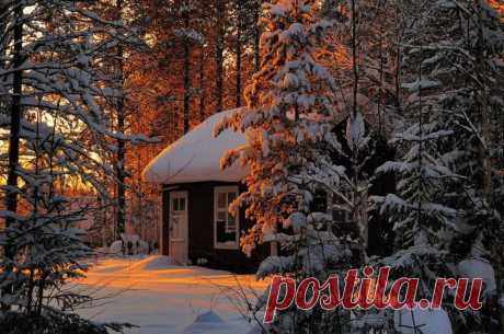 Дом в зимнем лесу - фото и картинки: 29 штук