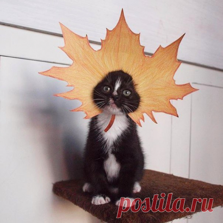 - Который час? - Без десяти осень 🍂 🍁