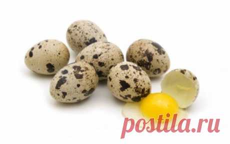 Полезные свойства перепелиных яиц — маленькие, да удаленькие | ДаЁжь З.О.Ж.