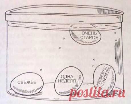 Как быстро определить свежесть яйца