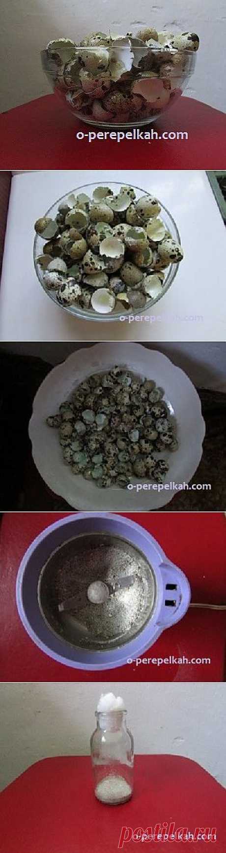 Приготовление порошка из скорлупы перепелиных яиц
