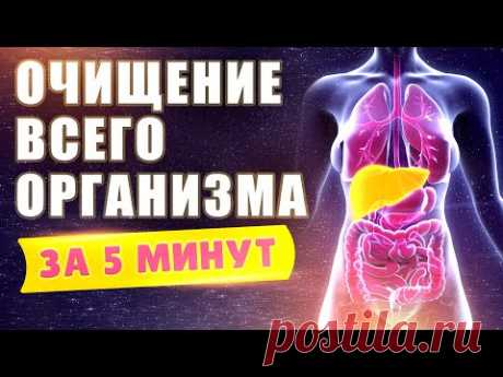 Очищение Всего Организма За 5 Минут | Здоровье | Исцеление | Восстановление | Исцеляющая Медитация