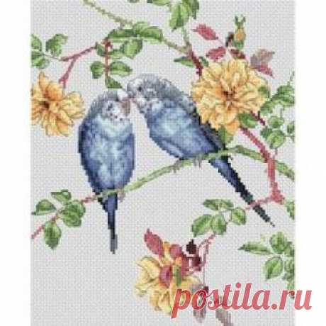 The Natural World Budgie Love Counted Cross Stitch Kit-7.8"X9.6" 14 Count