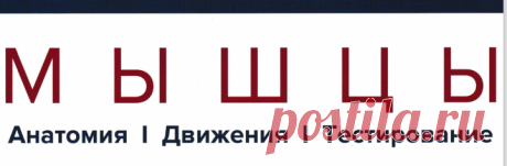 Клаус-Петер Валериус - Мышцы. Анатомия. Движения. Тестирование.pdf