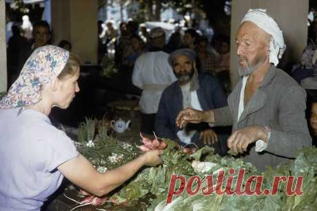 1959. Харрисон Форман в Самарканде. Часть 1: humus — ЖЖ