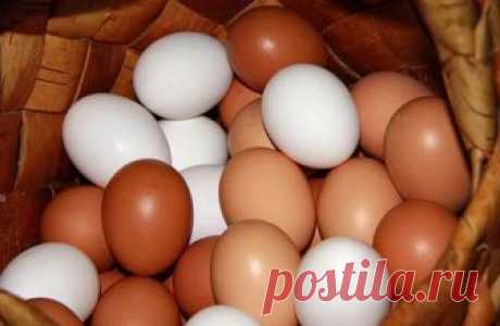 Самое доступное лекарство лежит у Вас в холодильнике. Лечебная сила обычного яйца Яйцо очень полезный продукт питания, но некоторые не знают, что яйцо еще наделено очень сильной лечебной функцией.