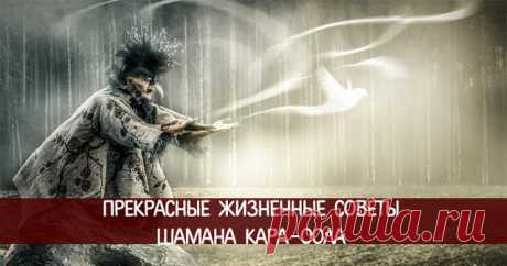 Прекрасные советы шамана Тулы 
 
 
1. Когда идете по улице и видите перо, лежащее на земле, подберите его и принесите домой, можете поставить в вазочку, повесить или даже просто положить на полочку. Это мощный оберег, дарованный В…