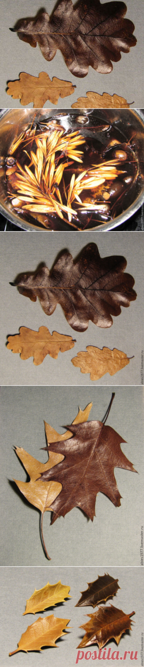 Как быстро законсервировать листья в глицерине - Ярмарка Мастеров - ручная работа, handmade