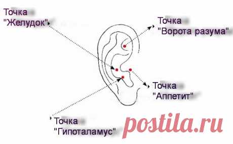 Точки для похудения: как похудеть с помощью акупунктуры