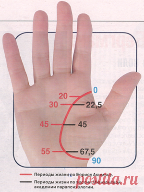 О чем может рассказать линия жизни? / Мистика