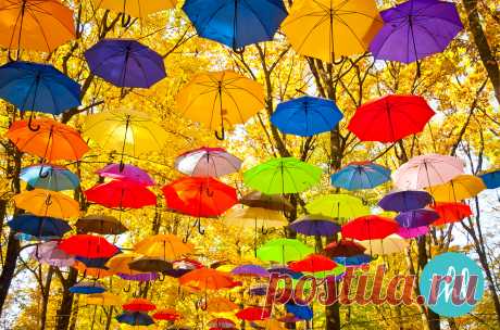 зонтики: 20 тыс изображений найдено в Яндекс.Картинках