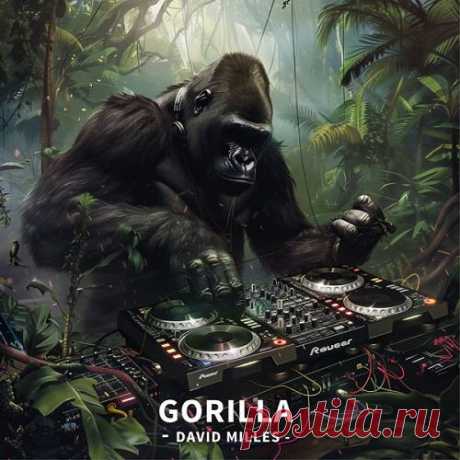 David Milles - Gorilla