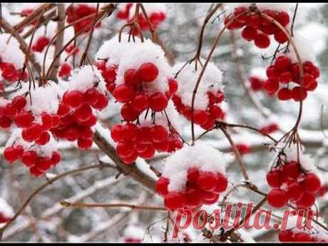 Калина и  рябина из бисера. Много идей. Viburnum and rowan of beads. Many ideas.