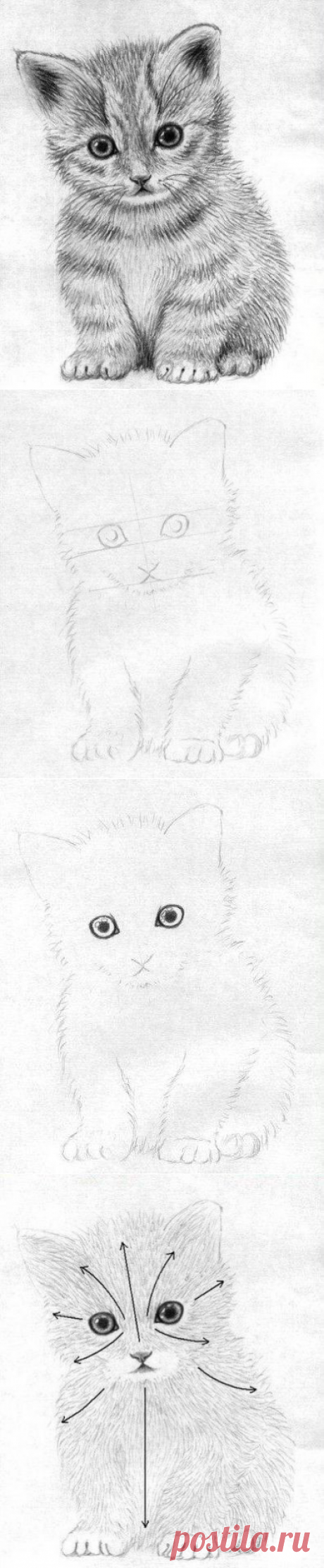 Рисуем маленького котёнка
