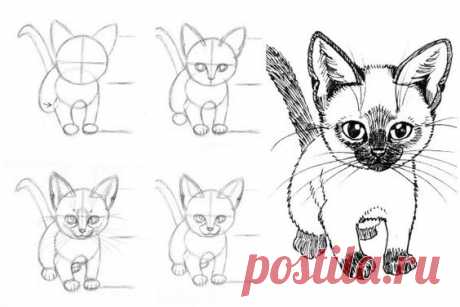 How to Draw Cat and Kittens offers step by step instructions for beginning and advanced artists.