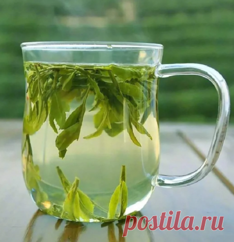 Врачи из Поднебесной называют зеленый чай «лекарством от смерти»