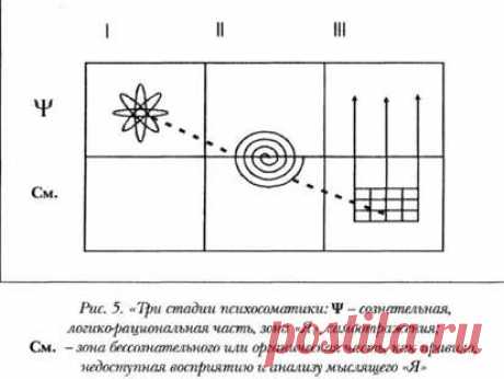 Психосоматика - Психосоматический процесс - Три стадии развития психосоматики : 359