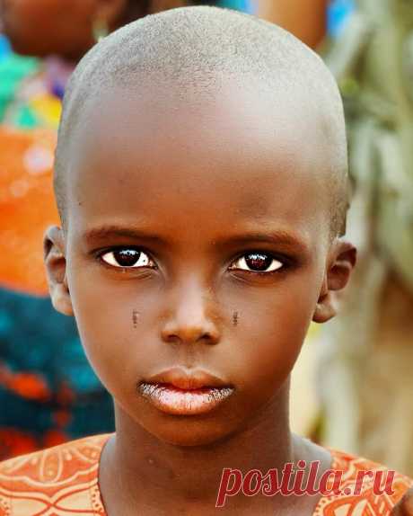 Фулани — неземной красоты жители Африки. Часть 1 | Арина Шумакова | Яндекс Дзен