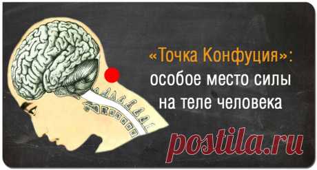 "Точка Конфуция" - ее массаж исцелит вас, избавив от многих болезней - Интернет ежедневник - медиаплатформа МирТесен