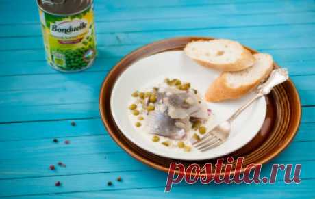 Селедка в сметанном соусе / Рыбные закуски / TVCook: пошаговые рецепты с фото