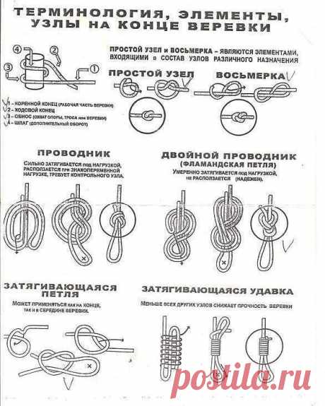 Терминология, элементы, узлы на конце веревки • Узлы для привязывания к точкам опоры • Узлы для связывания веревок • Схватывающие узлы • Специальные узлы