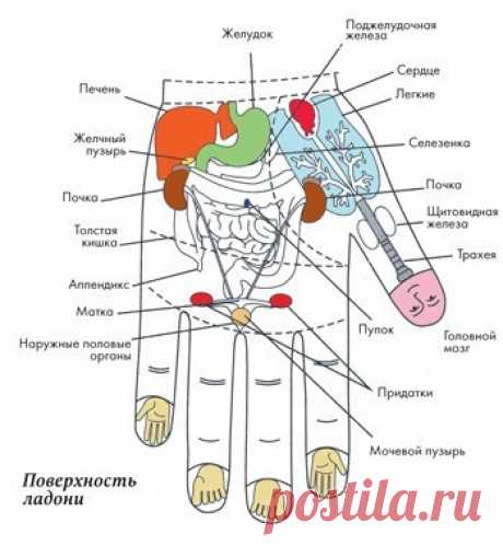 Самоисцеление. Простые техники для пальцев — ХОЗЯЮШКА