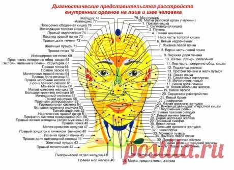 Болезни внутренних органов - взаимосвязи с реакцией кожи на лице