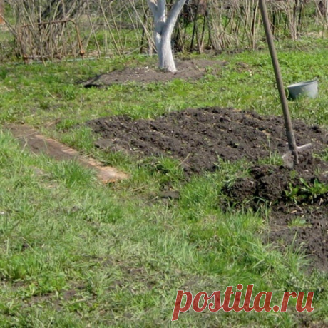 Как сделать новую грядку