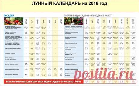 Какую рассаду сажают в феврале 2018: таблица благоприятных дней для посадки семян