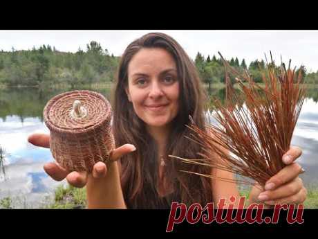 Making a Basket from PINE NEEDLES | Start to Finish Project