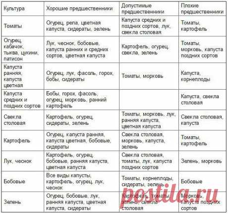 ТАБЛИЦА ЧЕРЕДОВАНИЯ ПОСЕВОВ ОВОЩЕЙ В ОГОРОДЕ

Из севооборота овощей можно извлечь выгоду. Это и защита растений от вредителей и болезней, и сохранение плодородия почвы. Но недостаточно просто менять овощи местами от сезона к сезону, нужно учитывать, какие предшественники наиболее полезны для каждой овощной культуры. 

При севообороте соблюдаем правило: не сеять одну и ту же культуру второй год на старое место. Это относится и к представителям одного и того же семейства кул...