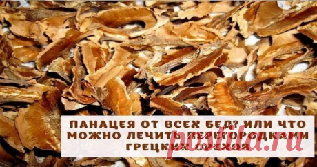 Панацея от всех бед? Или что можно полечить перегородками грецких орехов. Попробуйте.. — Копилочка полезных советов