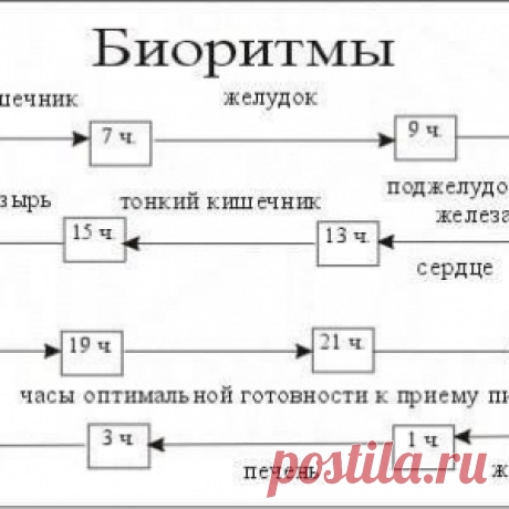 БУДЕМ МОЛОДЫМИ!