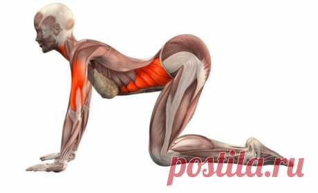 Что делает позвоночник гибким? Лучшие упражнения для здоровья спины Опорой всего нашего организма является позвоночник. От его здоровья зависит не только координация и красивая осанка, но и пластичность движений, способность свободно передвигаться, здоровье внутренних органов. Улучшить состояние мышечного каркаса...