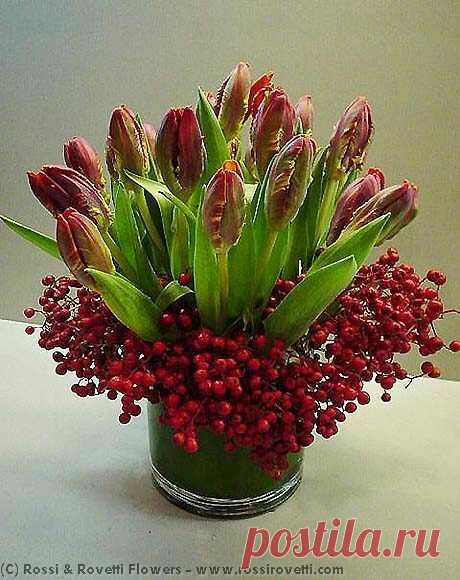 Red Parrot Tulips