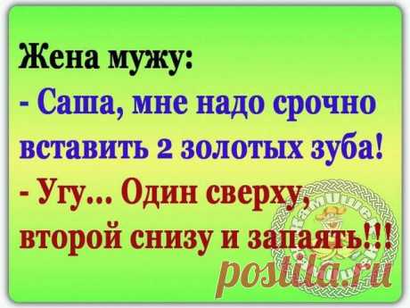 -Отрок Иннокентий! Ответствуй, отделима ли душа от тела?.. 
Парень пишет девушке в аське: - Как твой попугайчик поживает?- Нормально! А что ты хотел?- Погода хорошая. Чем в выходные занималась?- На даче с родителями была. А что ты хотел?- Понимаешь, если бы я…