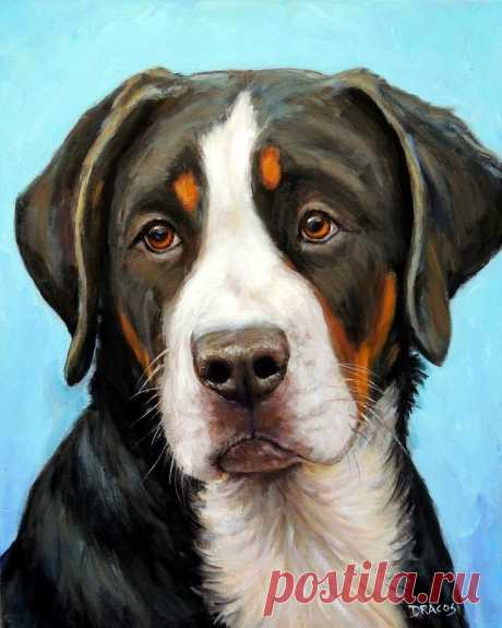 Greater Swiss Mountain Dog Pup by Dottie Dracos Greater Swiss Mountain Dog Pup Painting by Dottie Dracos
