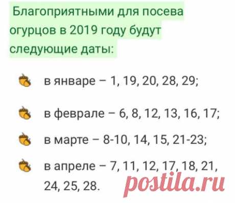 Посев огурцов на рассаду по лунному календарю 2019 года.                                      Многие садоводы принимают во внимание рекомендации, которые указываются в лунном календаре. В отношении огурцов следует учитывать то, что посев при растущей луне позволит растению более успешно развиваться и принесёт огороднику высокий урожай.