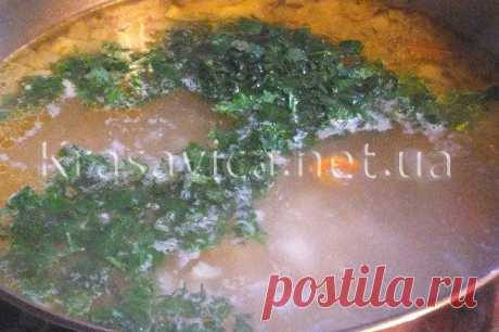 Польский суп. Рецепт пошаговый с фото