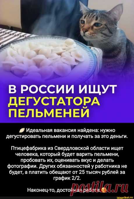 В РОССИИ ИЩУТ ДЕГУСТАТОРА ПЕЛЬМЕНЕЙ Идеальная вакансия найдена: нужно дегустировать пельмени и получать за это деньги. Птицефабрика из Свердловской области ищет человека, который будет варить пельмени, пробовать их, оценивать вкус и делать фотографии. Других обязанностей у работника не будет, а платить обещают от 25 тысяч рублей за график Наконец-то, достойная работа. - АйДаПрикол