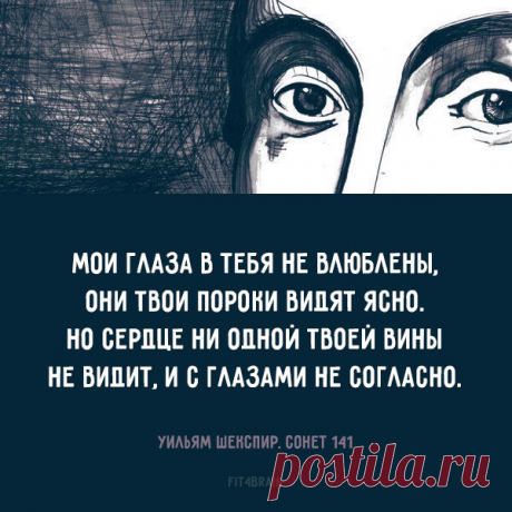 (5) Фитнес для мозга - Хроника