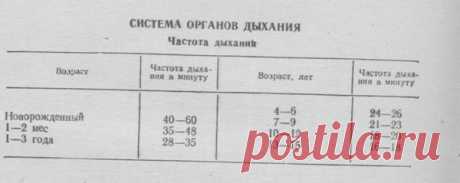 Если вашему ребенку поставили диагноз «поллиноз к деревьям» - Детское здоровье и уход