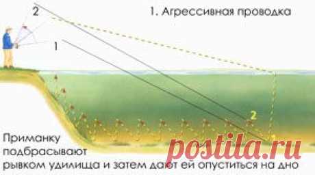 5 уловистых способов проводки джиг- приманок | Охота и рыбалка