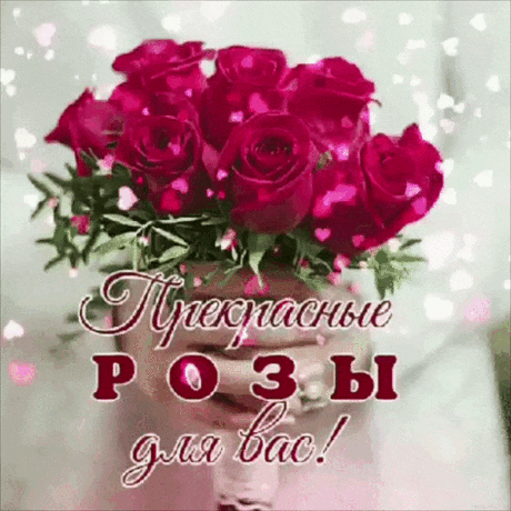 Прекрасные розы для вас (открытка 1011): Бесплатные картинки &amp;#8226; Otkrytki.Top