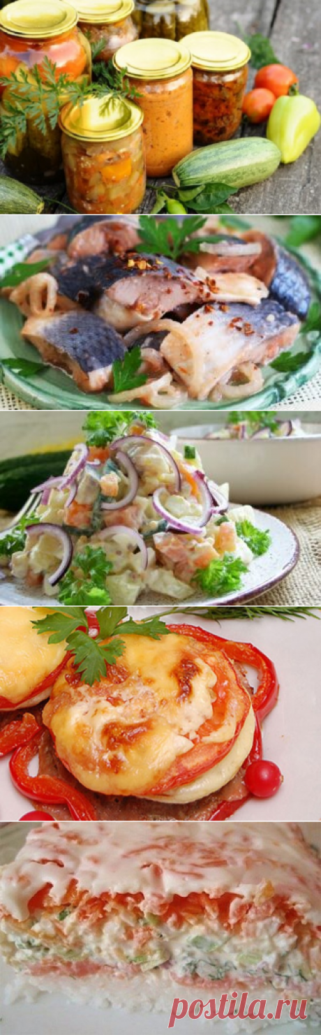 15 рецептов салатов из кабачков на зиму &amp;#8902; Кулинарная страничка
